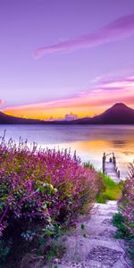 Mountains,Lake,Atitlan,Guatemala,Bloom,Flowering,Loneliness,Nature