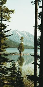 Mountains,Lake,Fir,Spruce,Slope,Nature