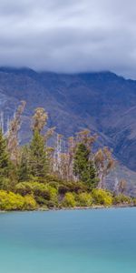 Mountains,Lake,Forest,Fog,Nature