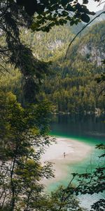 Nature,Forêt,Montagnes,Lac,Plage