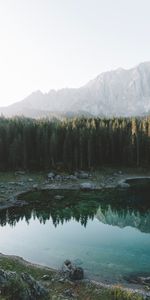 Forêt,Rive,Banque,Lac,Nature,Montagnes,Paysage