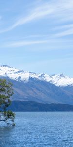 Wanaka,Bois,Nature,Lac,Arbre,Montagnes,Nouvelle Zélande