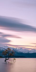 Mountains,Lake,Tree,Serenity,Nature,Wood,Calmness,Tranquillity