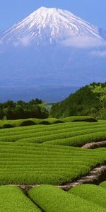 Mountains,Landscape