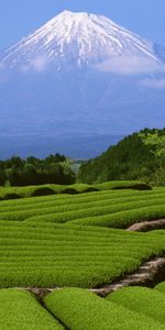 Mountains,Landscape,Asia