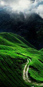 Mountains,Landscape,Fields