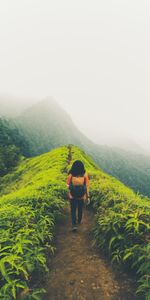 Mountains,Miscellanea,Miscellaneous,Path,Loneliness,Lonely,Fog,Alone