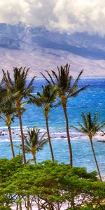 Montañas,Naturaleza,Palms,Mar,Playa