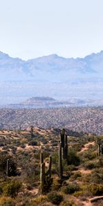 Mountains,Prairie,Dahl,Nature,Cactuses,Distance