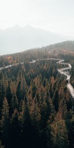 Mountains,Road,Forest,Nature,Trees,Fog,Bridge