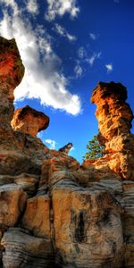 Mountains,Rocks,Dog,Pet,Husky,Animals