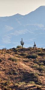 Mountains,Rocks,Prairie,Hills,Nature,Cactuses