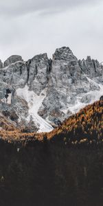 Mountains,Rocks,Vertex,Forest,Nature,Top,Landscape