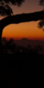 Mountains,Silhouette,Branch,Sunset,Dark