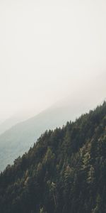 Brouillard,Pistes,Pentes,Nature,Forêt,Montagnes,Paysage