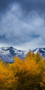 Mountains,Snow,Bush,Nature