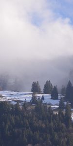 Naturaleza,Montañas,Nieve,Bosque,Niebla