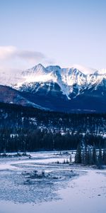 Mountains,Snow,Forest,Snow Covered,Snowbound,Nature,Trees