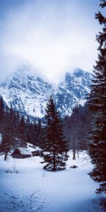 Montagnes,Hutte,Forêt,Nature,Neige,Cabane