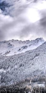 Mountains,Snow,Rocks,Forest,Nature