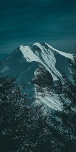 Mountains,Snow,Spruce,Fir,Slope,Nature