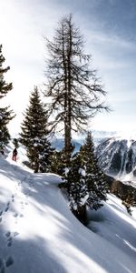 Mountains,Snow,Traces,Skier,Nature