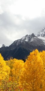 Neige,Automne,Hauts,Sommet,Nature,Arbres,Montagnes