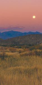 Nature,Domaine,Crépuscule,Champ,Lune,Montagnes,Paysage