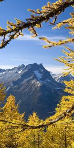 Otoño,Naturaleza,Washington,Árboles,Montañas