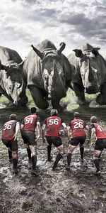 Rugby,Boue,Saleté,Équipe,Rhinocéros,Domaine,Champ,Le Rugby,Sport