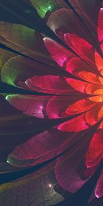 Multicolored,Flower,Motley,Abstract,Glow,Fractal