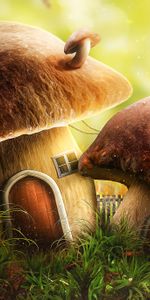 Mushroom,Door,Art,House