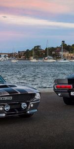 Mustang,Silver,Silvery,Cars,Ford,Sea