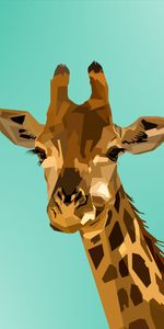 Muzzle,Giraffe,Art,Vector