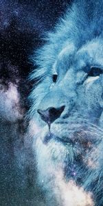 Muzzle,Stars,Photoshop,King Of The Beasts,King Of Beasts,Predator,Starry Sky,Lion,Art