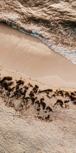 Nature,Algae,Sea,Wave,Seaweed,Beach