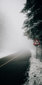 Nature,Asphalt,Branches,Road,Fog,Sign