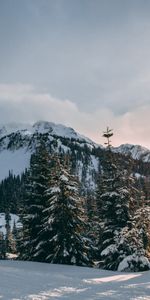 Montañas,Ato,Comió,Invierno,Nieve,Naturaleza