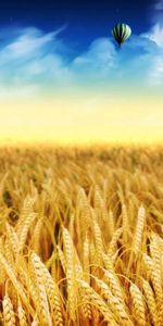 Nature,Autumn,Field,Flight,Balloon,Ears,Spikes,Harvest,Gold