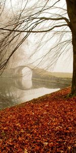 Naturaleza,Otoño,Paisaje