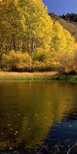 Nature,Automne,Paysage,Lacs