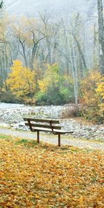 Nature,Autumn,Montana,Trees,Bench,Park