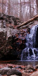 Nature,Autumn,Rock,Waterfall,Brook,Creek