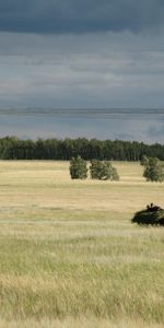 Nature,Autumn,Summer,Spaciousness,Scope,Haymaking,Haying,Landscape,Horse