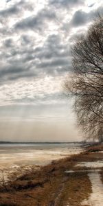 Nature,Birches,Mainly Cloudy,Overcast,Sunlight,Sun Rays,Withering,Autumn