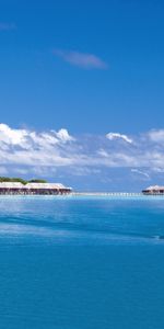 Nature,Un Bateau,Île,Maldives,Tropiques,Bateau,Mer