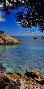 Nature,Branches,Spain,Catalonia,Mediterranean Sea,Costa Brava,Stones,Coast