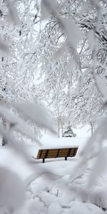 Nature,Branches,Winter,Bench,Snow,Minimalism