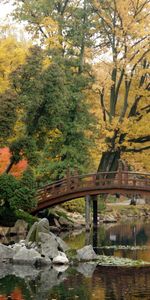 Nature,Bridge,Pond,Serenity,Willow,Stones