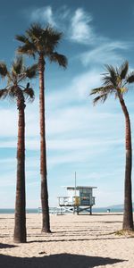 Naturaleza,Edificio,Palms,Zona Tropical,Trópico,Playa